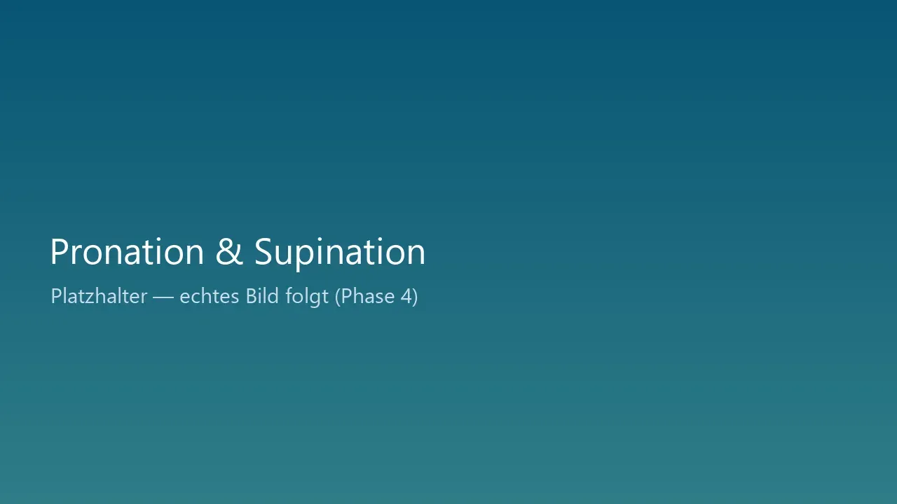 Anatomische Darstellung von Pronation und Supination des Fußes