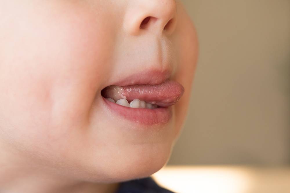 shutterstock_1236081454