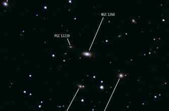 NGC 1260 und seine Nachbarn